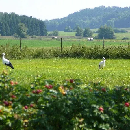 Waldraff Comfortable Ostrach